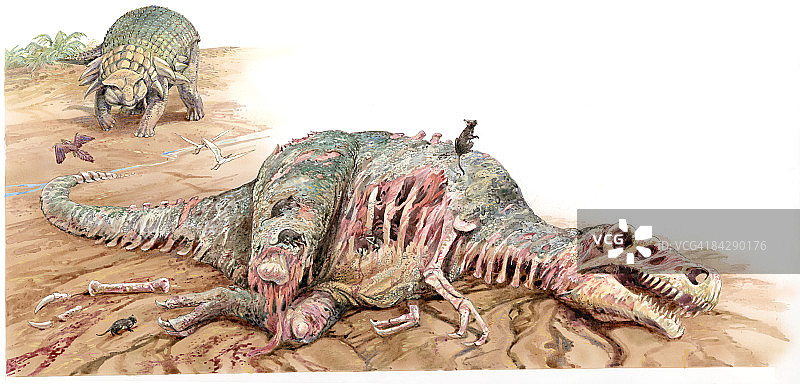 恐龙看着站在恐龙尸体上的老鼠插画图片素材