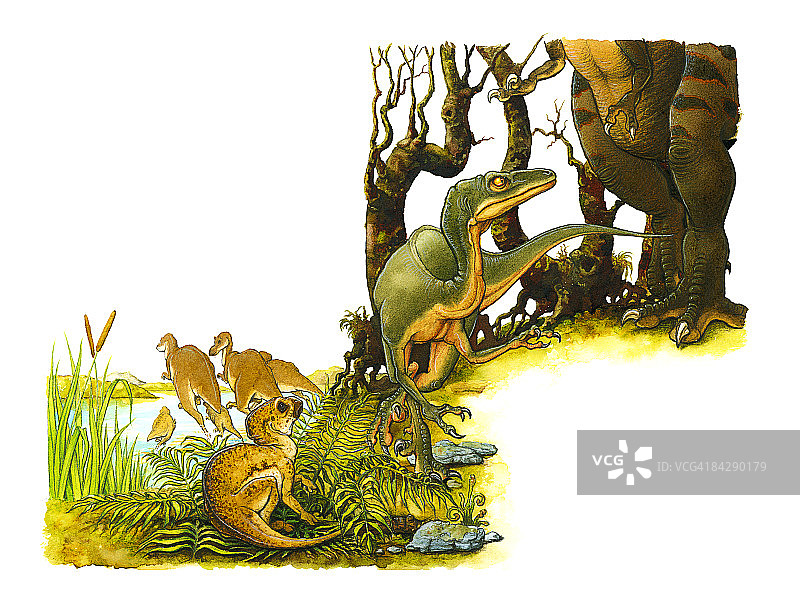 绿色恐龙与大型食肉双足兽脚亚目恐龙插画图片素材