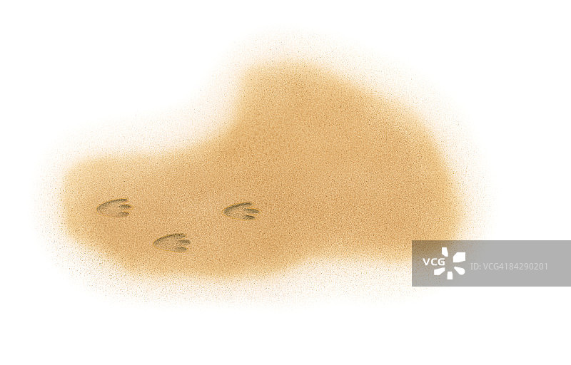 沙滩上的三趾恐龙脚印插画图片素材