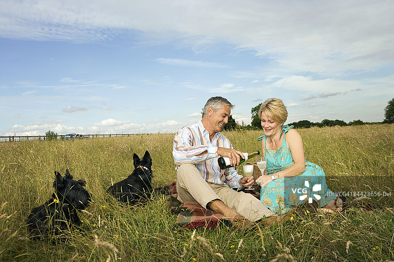 情侣在田野里野餐图片素材
