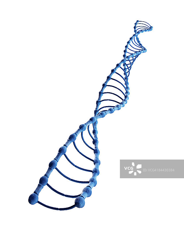 蓝色DNA链模型图片素材