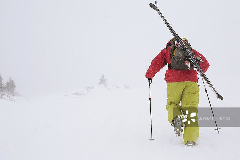 粉雪滑雪图片素材