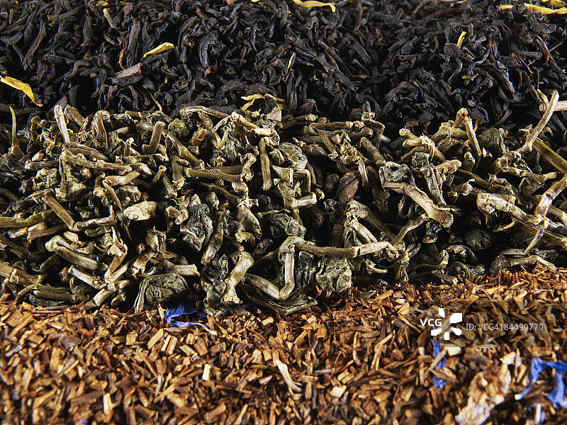 成排的散装茶叶图片素材