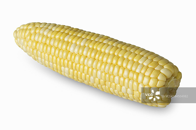 玉米棒子图片素材