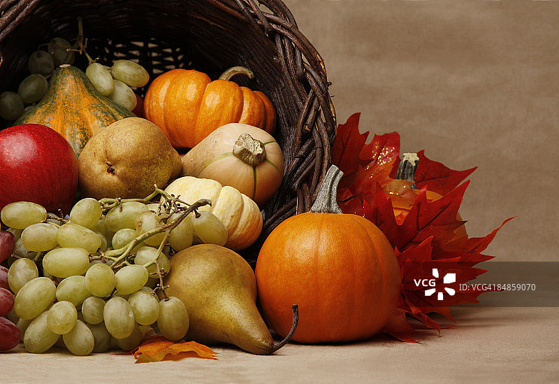 丰饶角静物图片素材