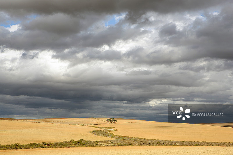 南非西开普省喀里东的山丘、树木和云彩景色图片素材