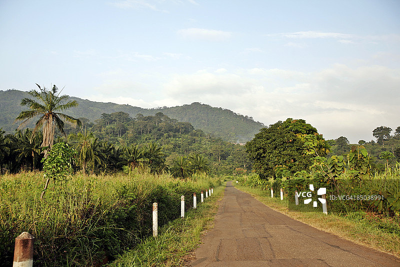 丛林道路图片素材