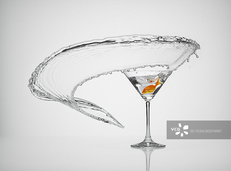 溅入马提尼酒的金鱼图片素材