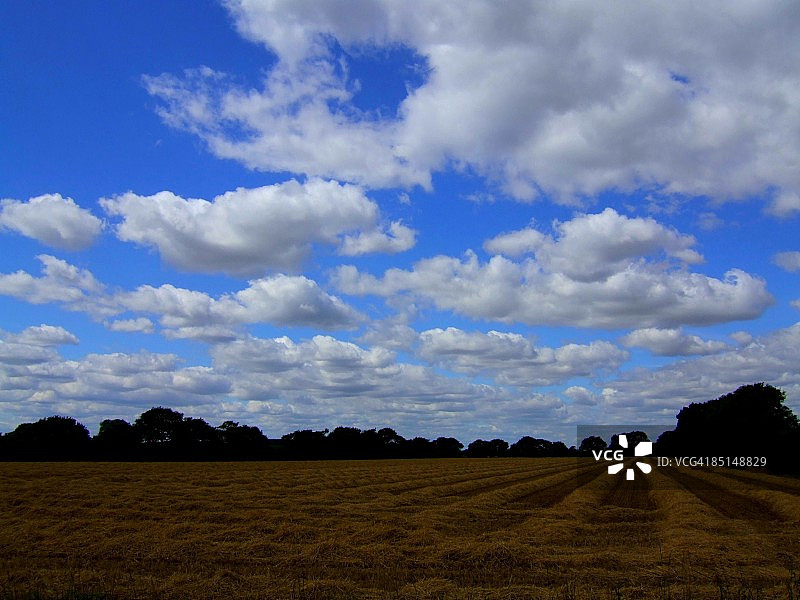 天景与田野图片素材