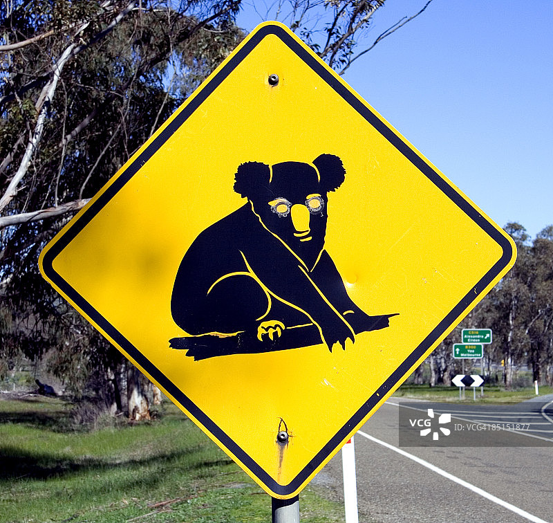 考拉出没标志图片素材