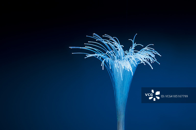 光纤分离图片素材