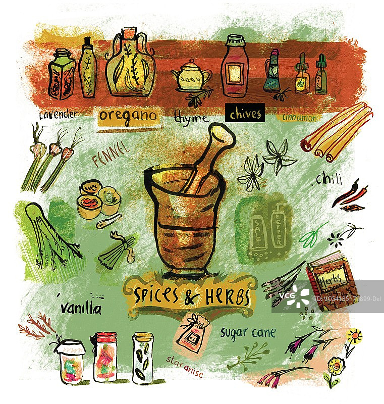 各种香料和草药拼贴图片素材