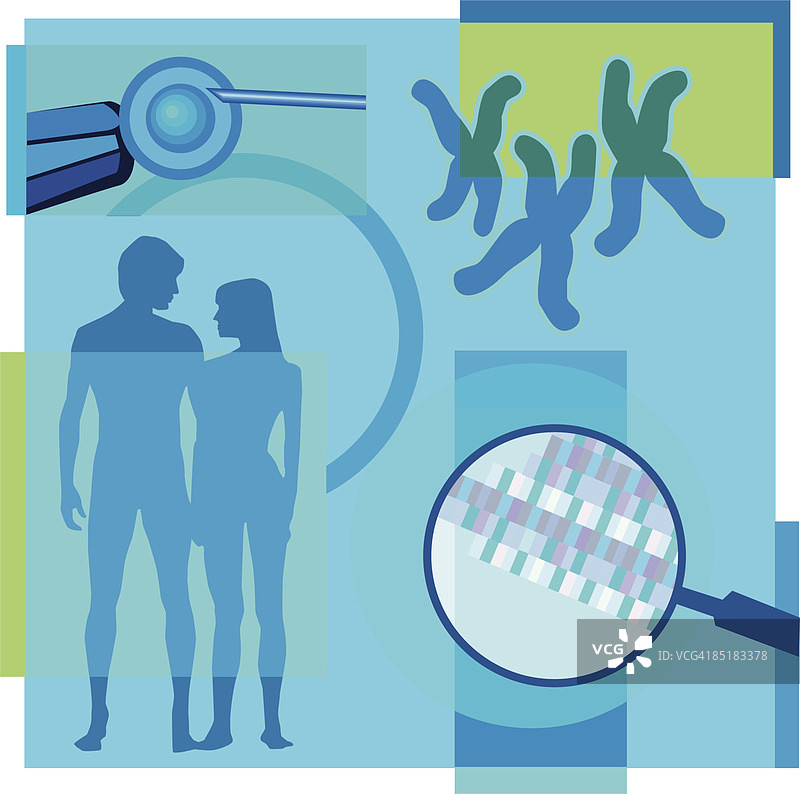 关于体外受精的蒙太奇插图，包含卵子、夫妇、DNA和染色体图片素材