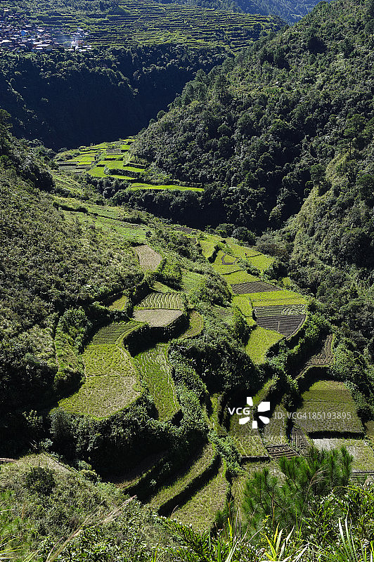 梯田山地农业图片素材