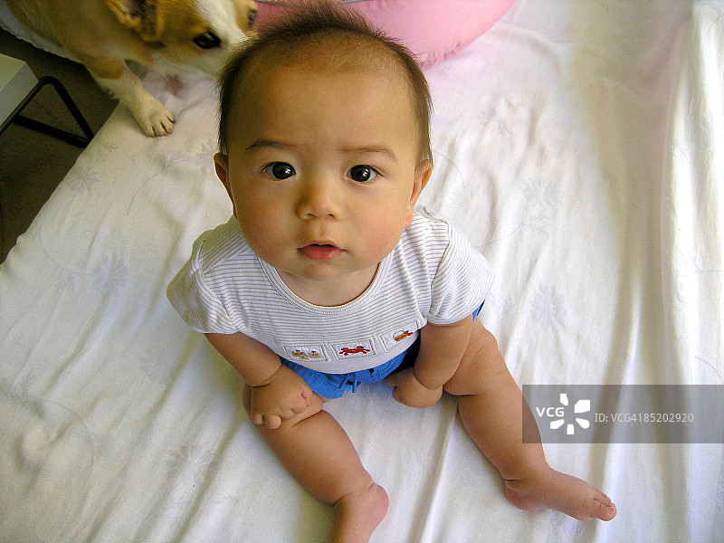 坐在沙发上抬头看着镜头的男婴图片素材