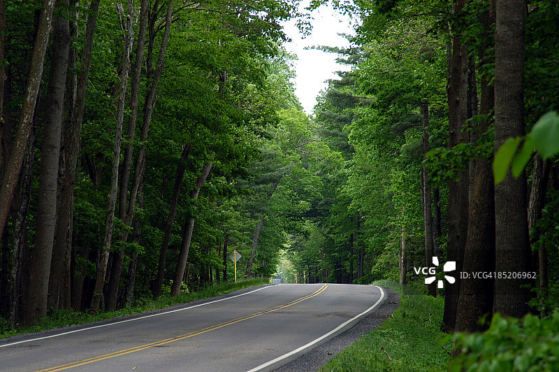穿过森林的空旷道路图片素材