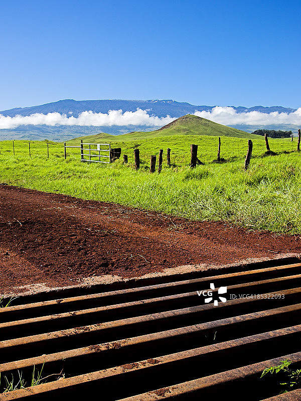 牲畜护栏图片素材