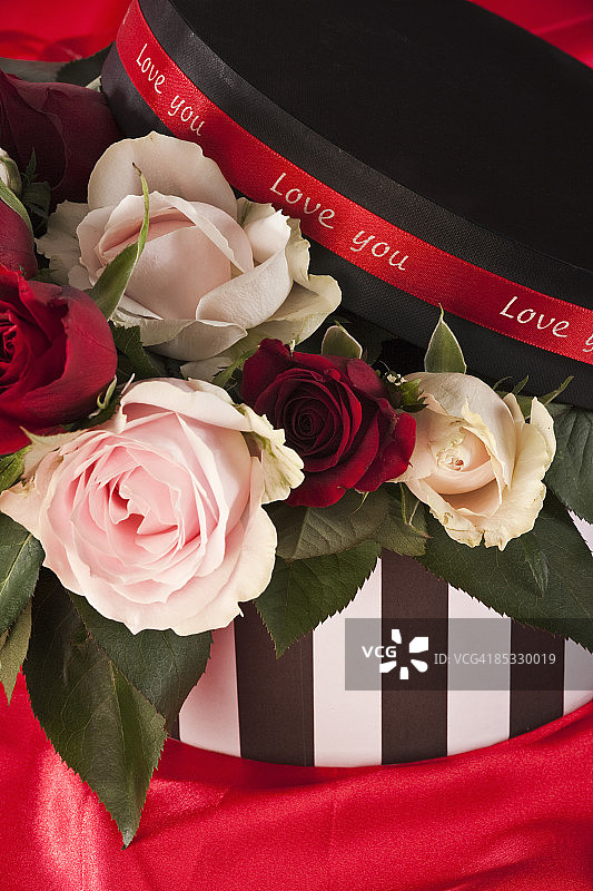 黑白条纹帽盒里的玫瑰图片素材