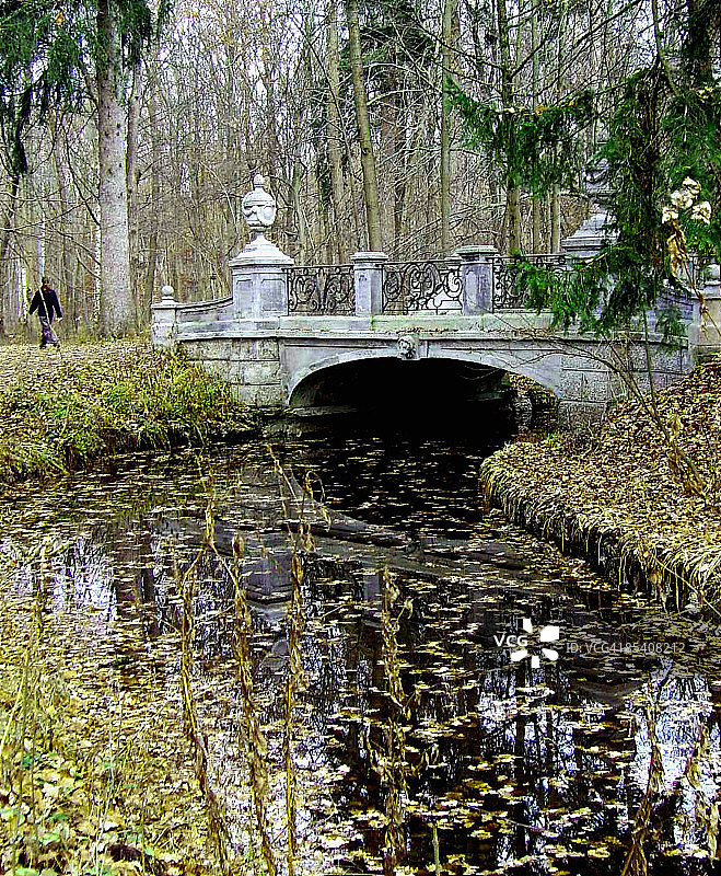 公园池塘上的桥梁图片素材