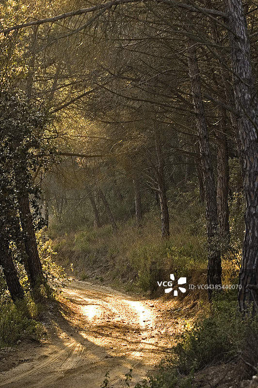 单行道图片素材