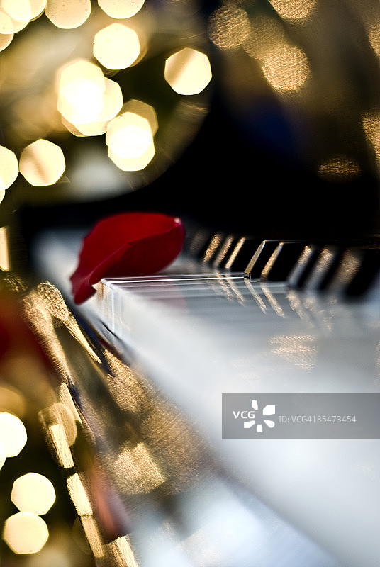 带有玫瑰花瓣和散景的钢琴图片素材