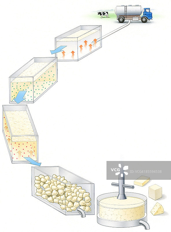 奶牛到奶酪制作流程图图片素材