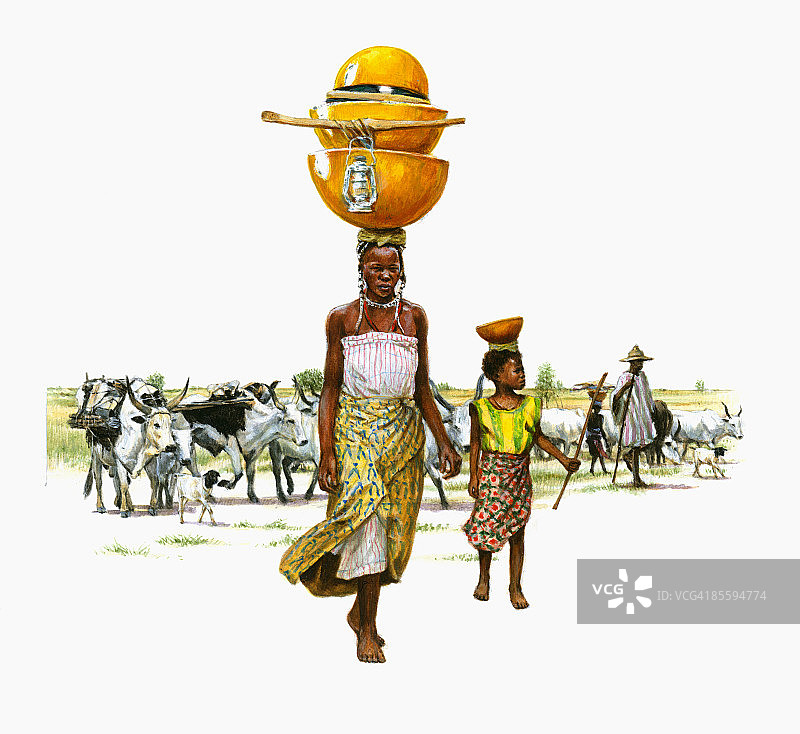 富拉尼妇女头顶葫芦和灯，带着孩子行走，男人们在背景中放牧牲畜插画图片素材