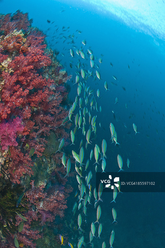军校学员图片素材