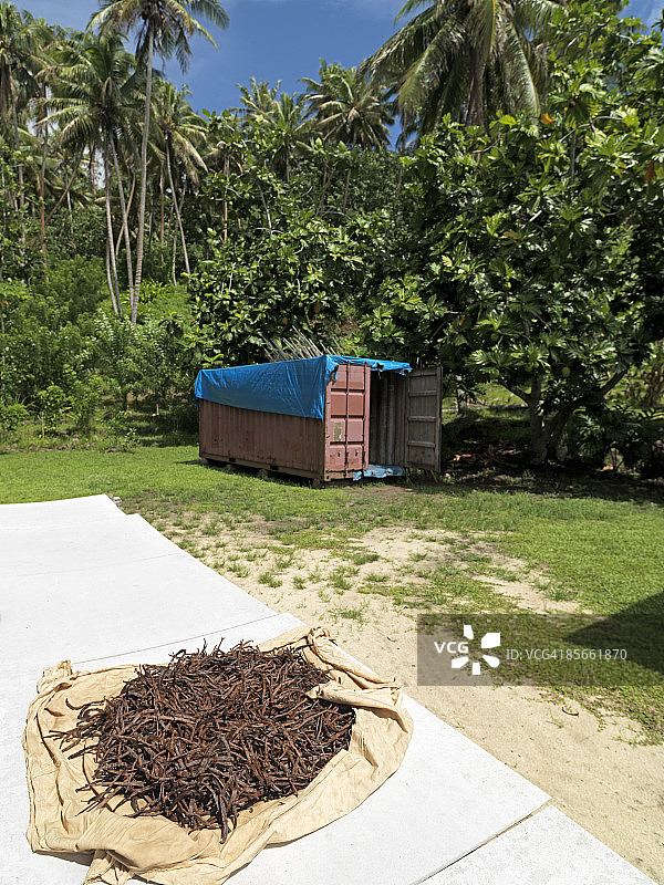 波利尼西亚香草种植园图片素材