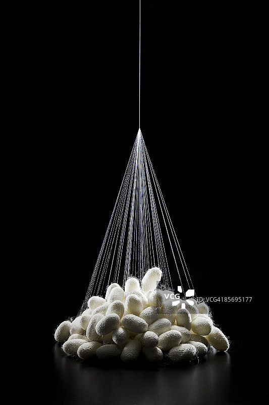 缠绕的蚕丝图片素材