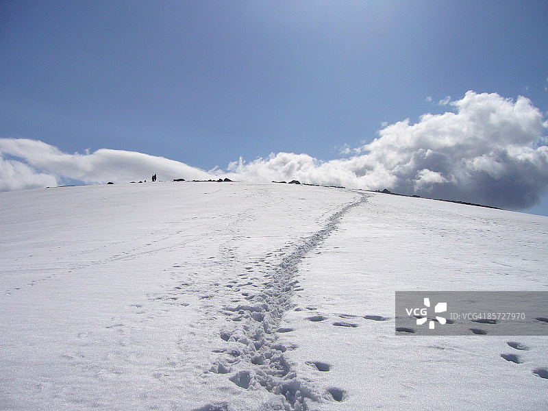 在雪的足迹图片素材