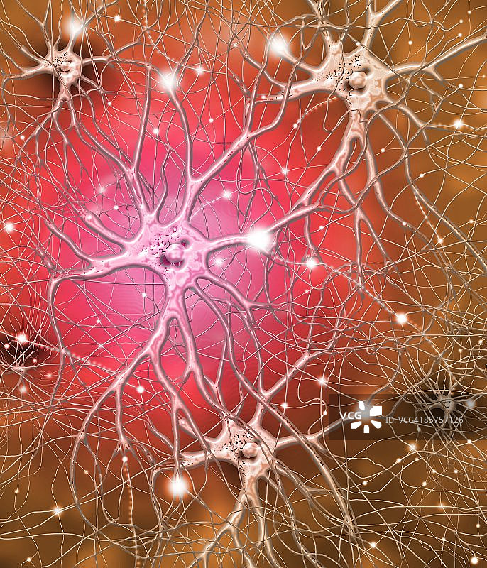 神经细胞（电脑艺术图）图片素材