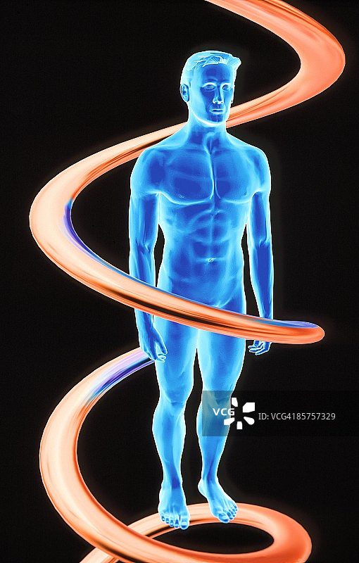 缠绕在人体周围的DNA分子电脑作品图片素材