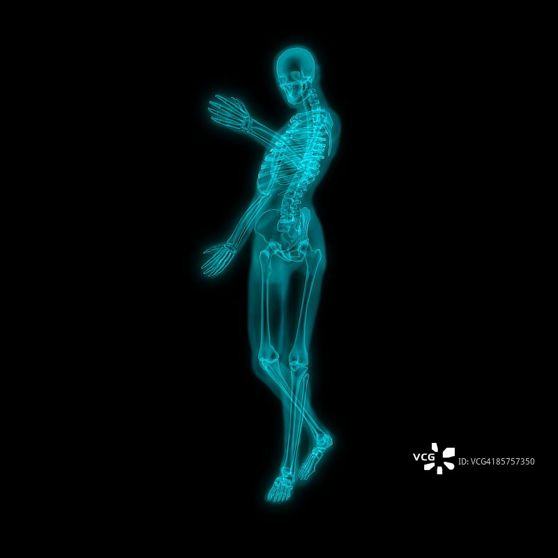 黑色背景上的人类骨骼图片素材