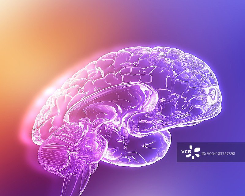 人脑的电脑艺术作品图片素材