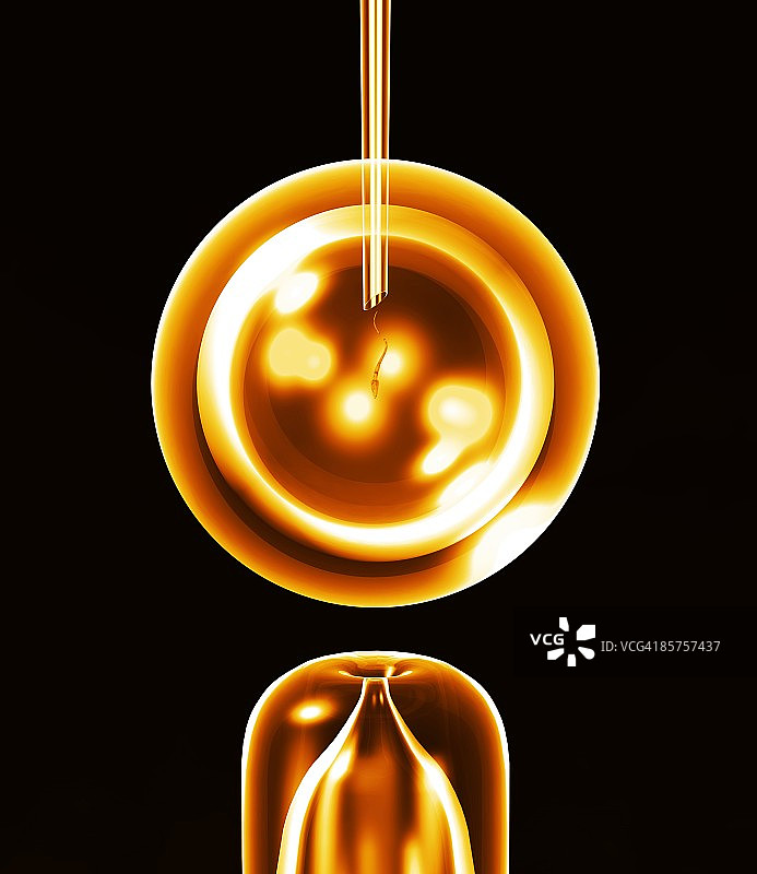 体外受精图片素材