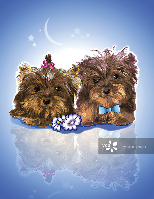 两只小狗图片素材