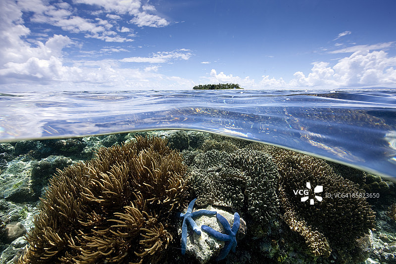 珊瑚礁和岛屿的水下水上景观图片素材