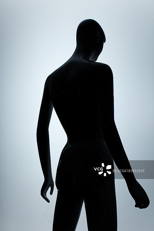 人体模型背面图片素材