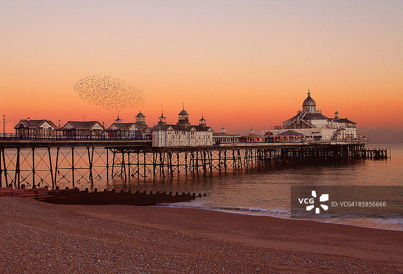 日落与椋鸟图片素材