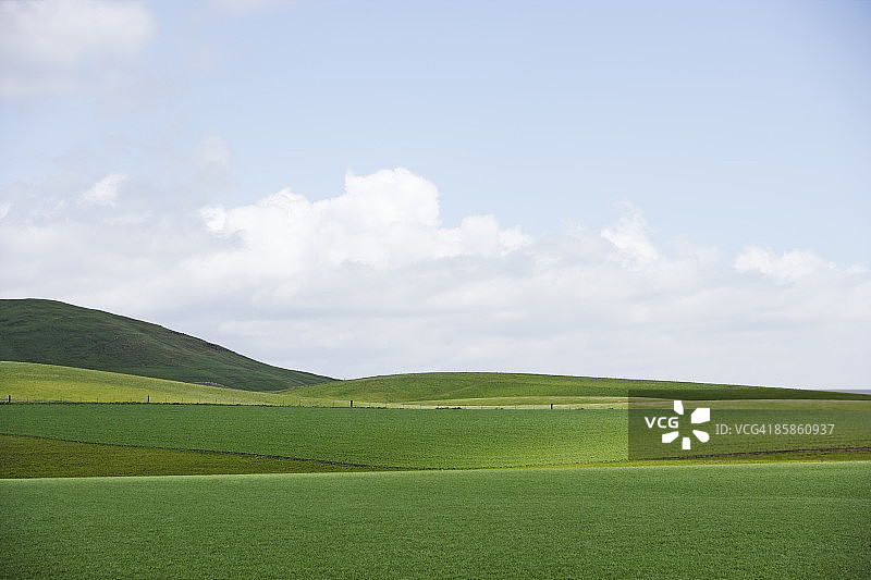 绿色田野和山丘图片素材