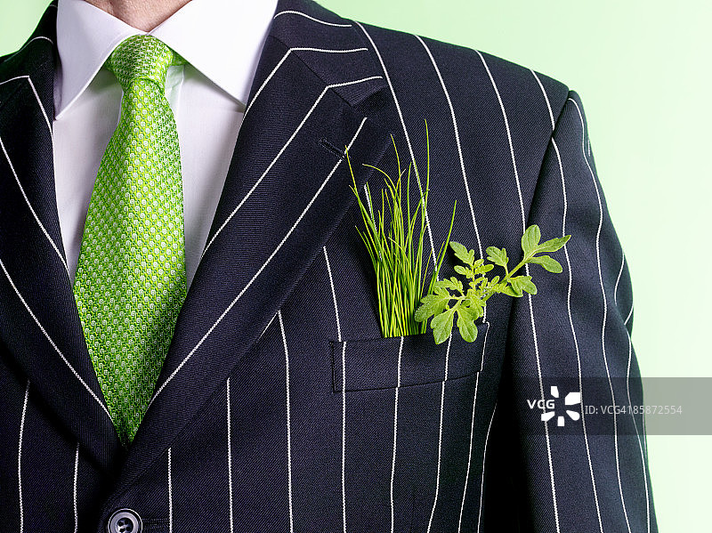 手持绿色嫩芽的商人图片素材