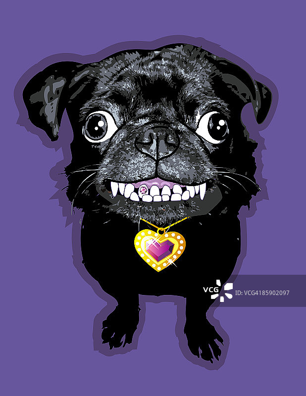 戴着项链的镶钻牙巴哥犬图片素材