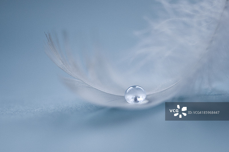 蓝色背景上的白色羽毛水滴图片素材