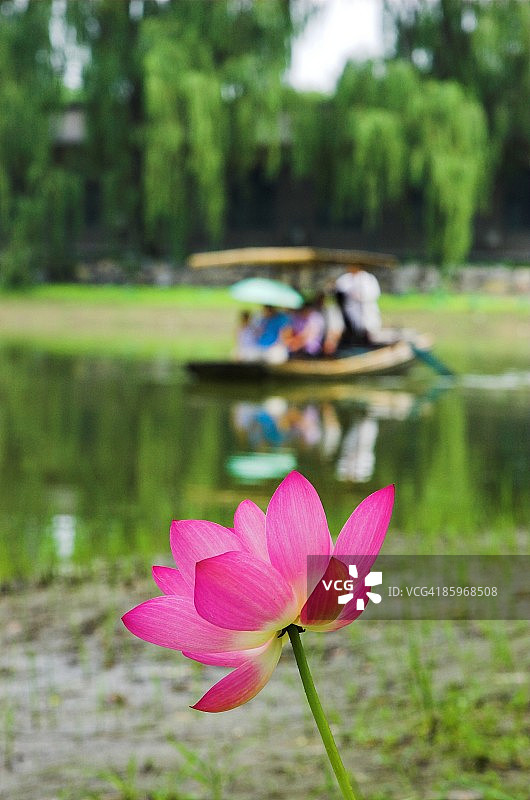 浪漫图片素材