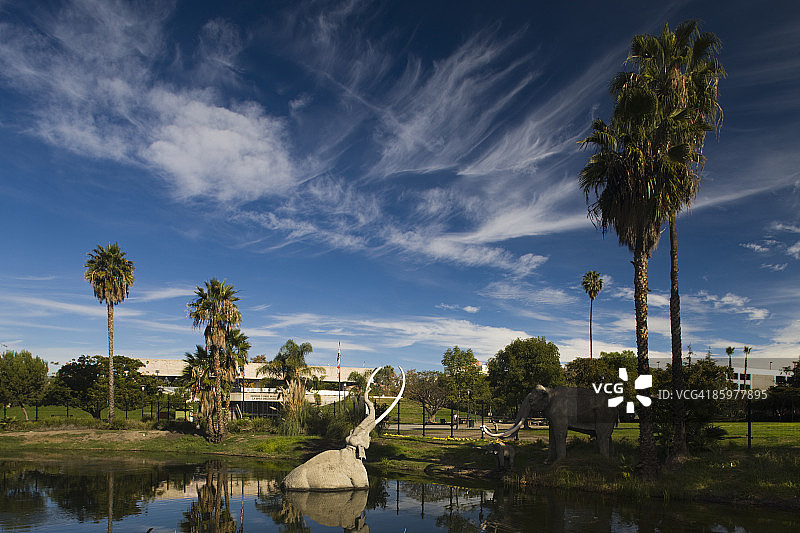 拉布雷亚沥青坑图片素材