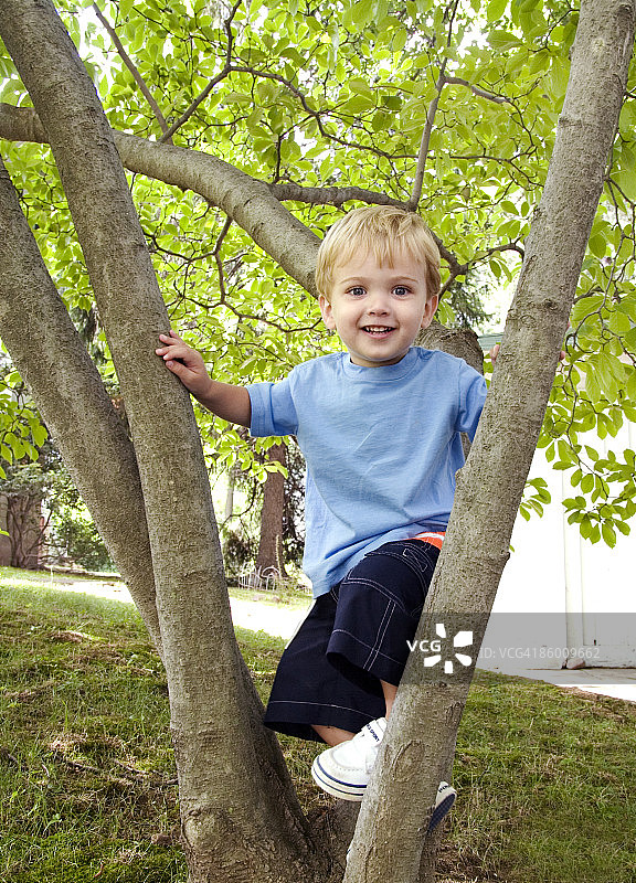 树上的扎克图片素材