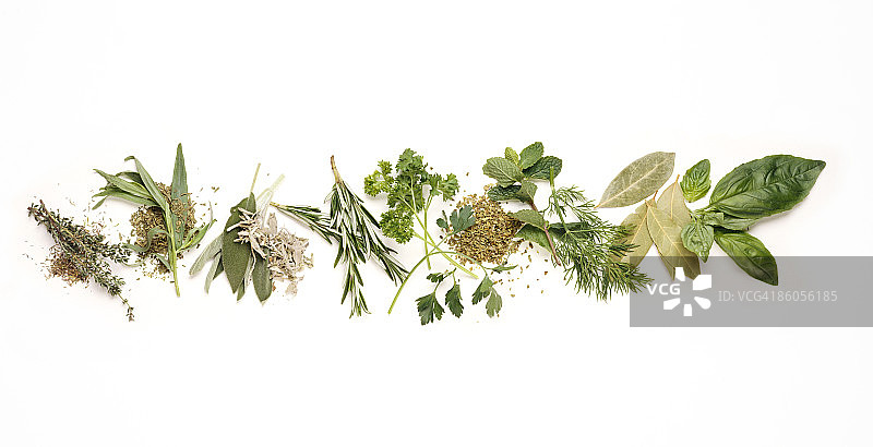 各种草药图片素材