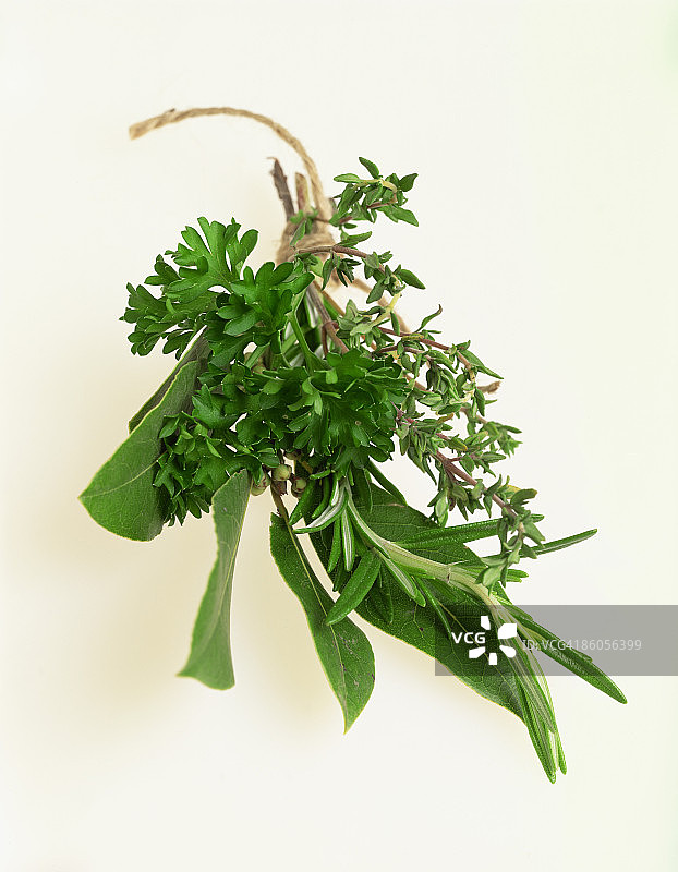 香草束图片素材