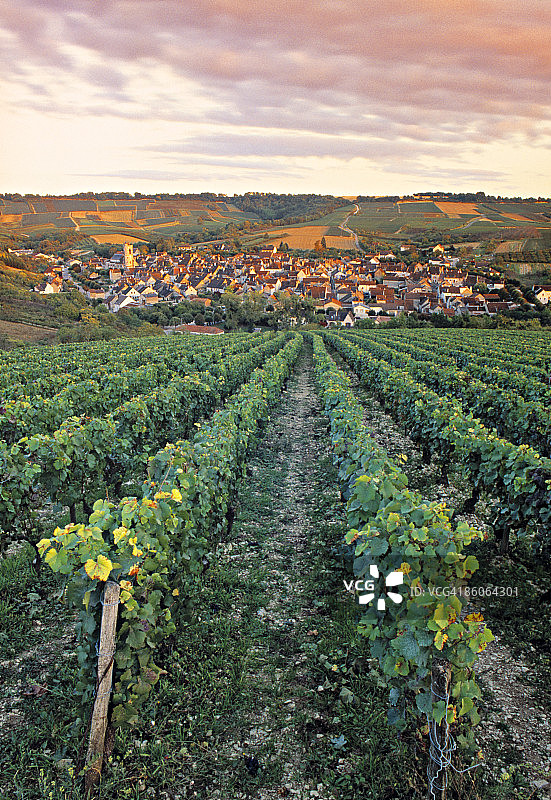 法国勃艮第伊朗西的村庄和农田图片素材